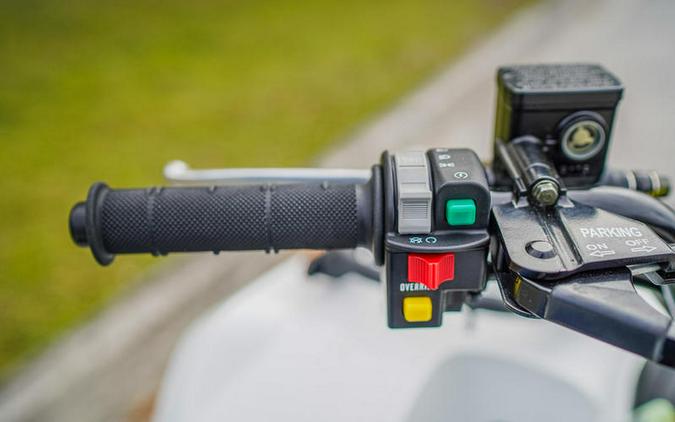 2025 Kawasaki Brute Force® 450 4x4