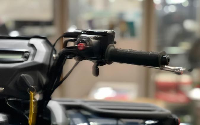 2025 Kawasaki Brute Force 450 4x4