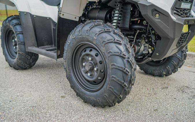 2025 Kawasaki Brute Force 450 4x4