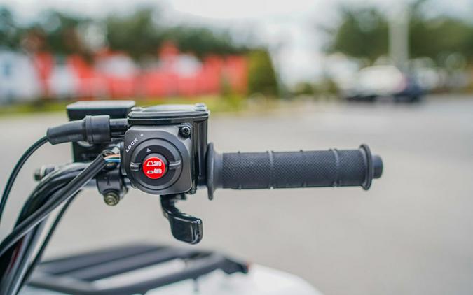 2025 Kawasaki Brute Force 450 4x4