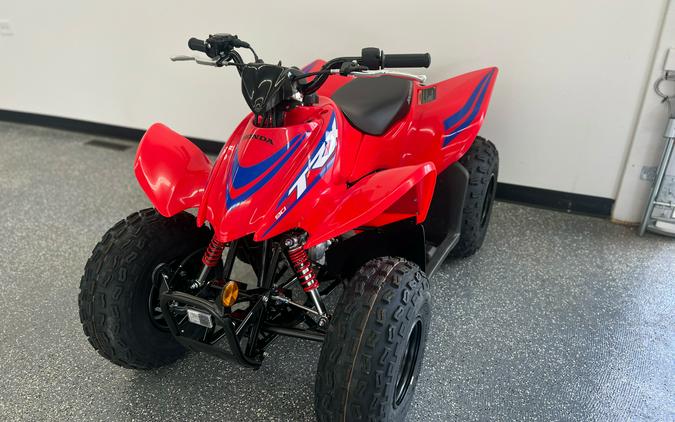 2024 Honda TRX90X