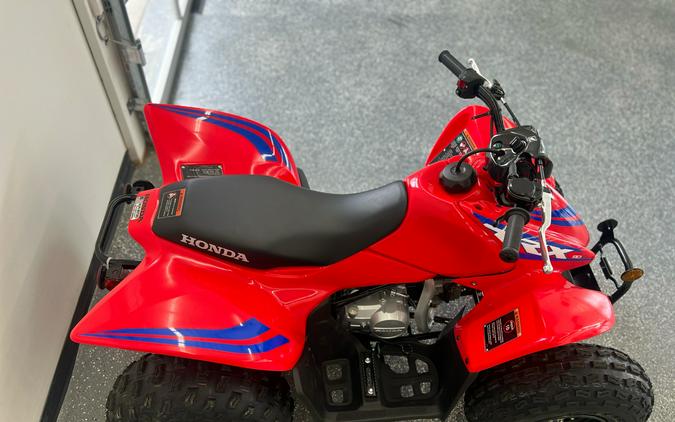 2024 Honda TRX90X