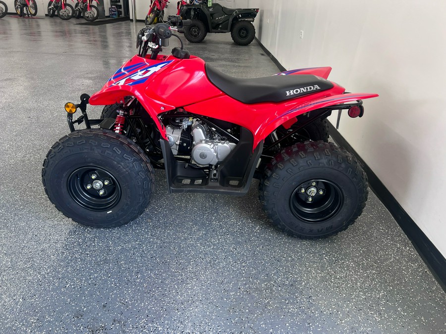 2024 Honda TRX90X