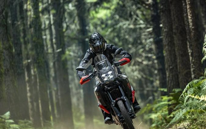 2026 Yamaha TÉNÉRÉ 700 WORLD RAID Raven