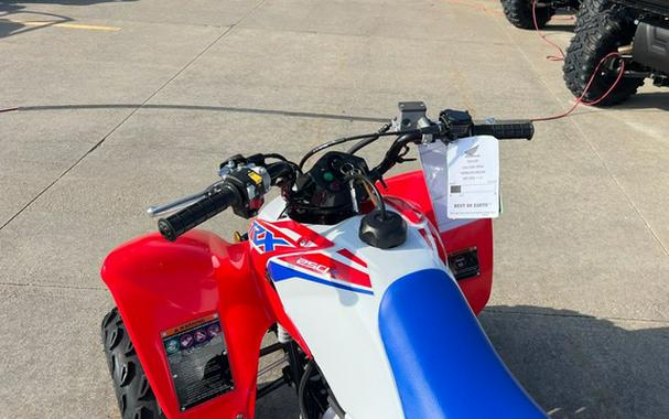 2026 Honda TRX 250X