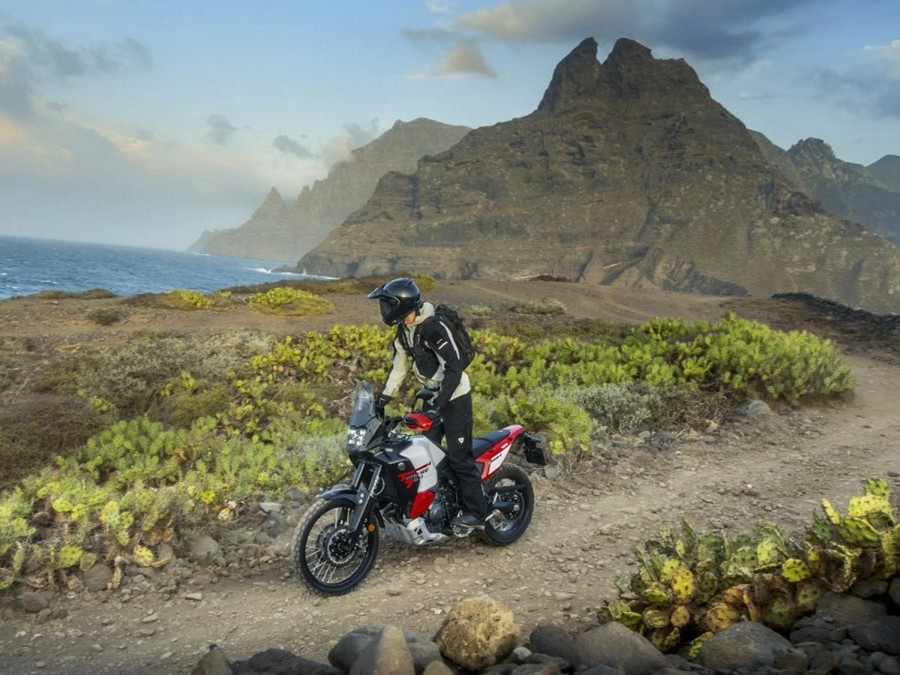 2026 Yamaha TÉNÉRÉ 700 WORLD RAID Intensity White