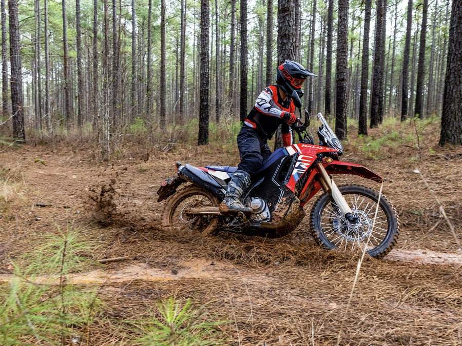 2025 Honda CRF300L Rally ABS