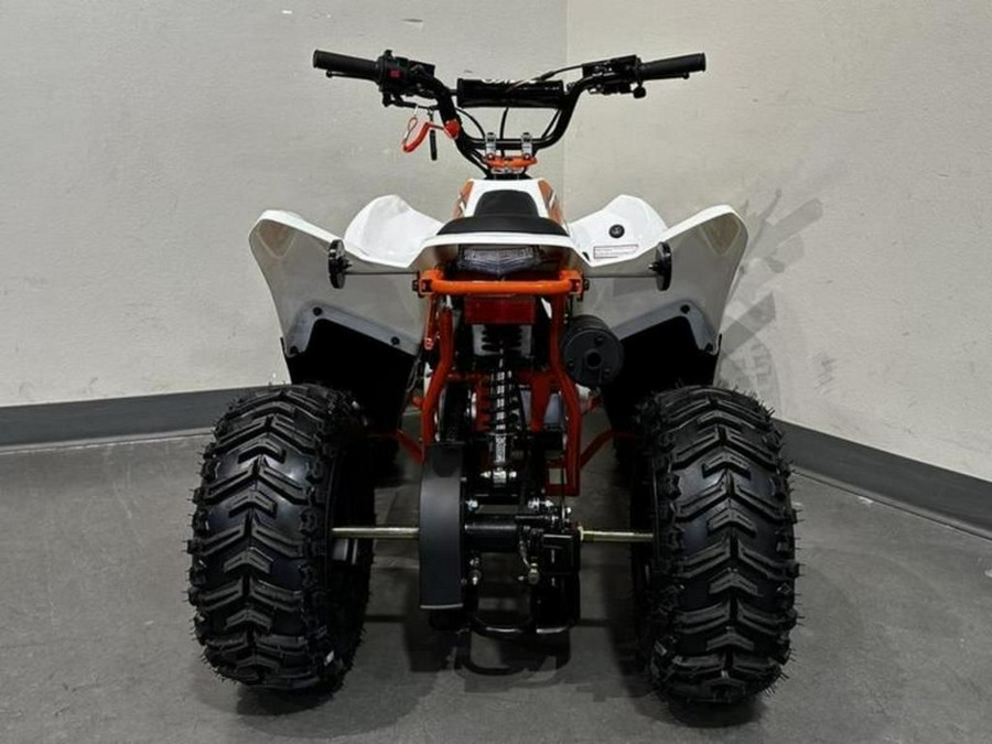 2026 Kayo Fox / Storm 70