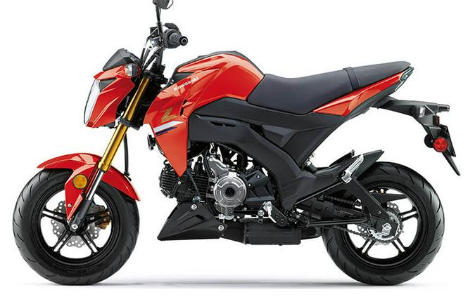 2023 Kawasaki Z125 PRO Base