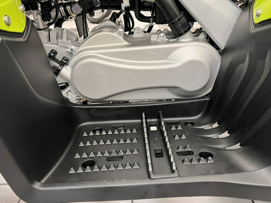 2026 Yamaha Raptor 110