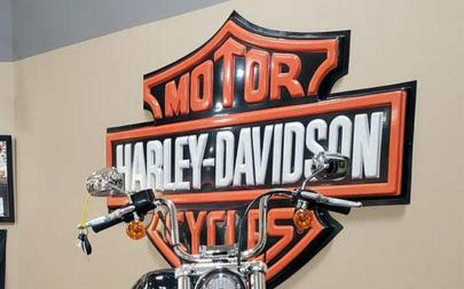 2024 Harley-Davidson® FXST - Softail® Standard