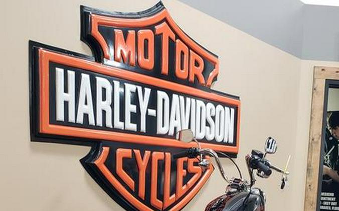 2024 Harley-Davidson® FXST - Softail® Standard