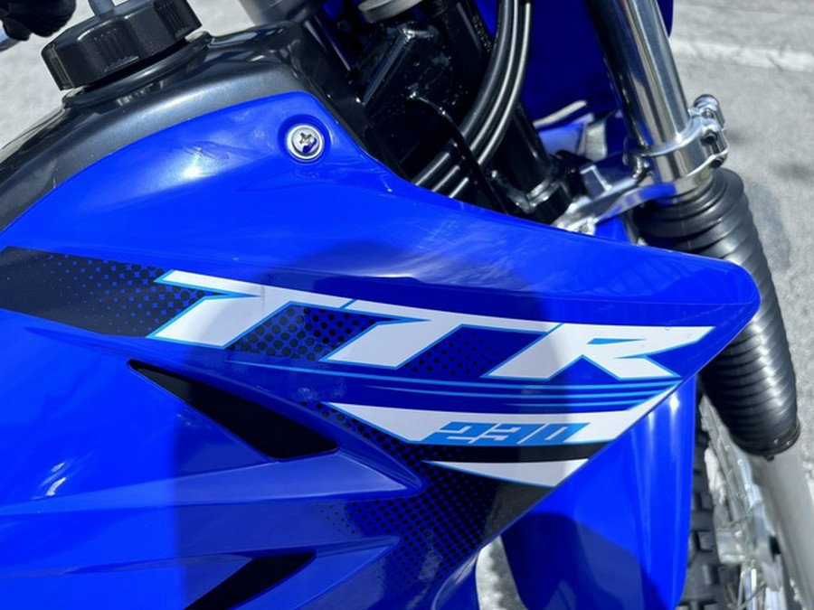 2025 Yamaha TT-R 230