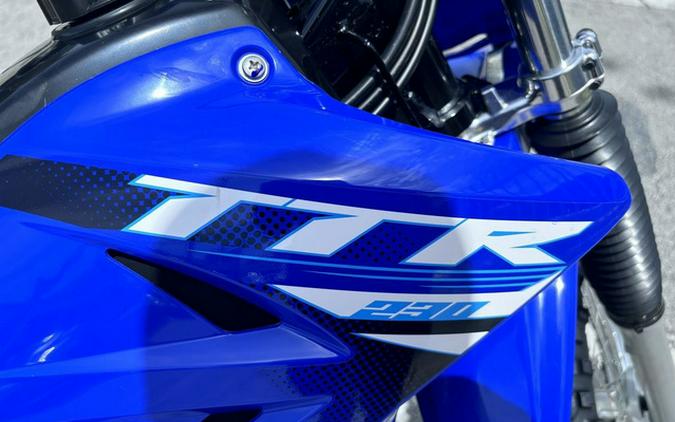 2025 Yamaha TT-R 230