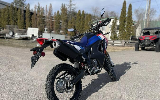 2025 Honda CRF300L Rally ABS 300L Rally