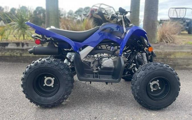 2024 Yamaha Raptor 110