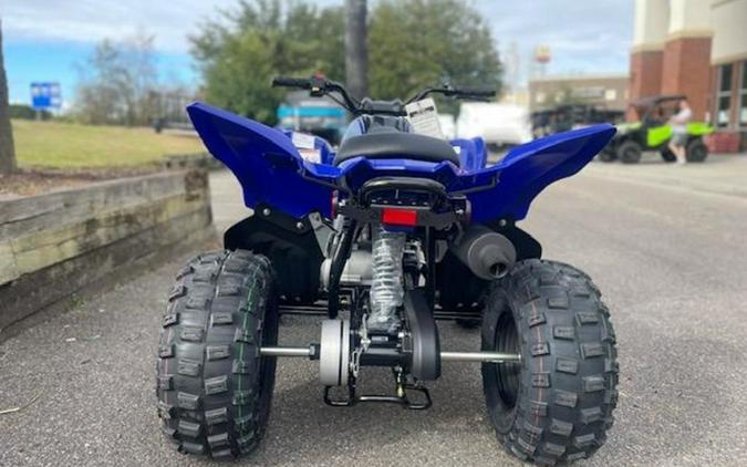 2024 Yamaha Raptor 110