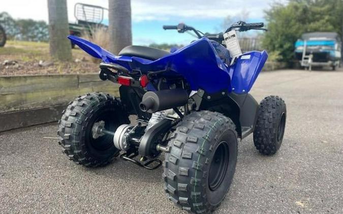 2024 Yamaha Raptor 110