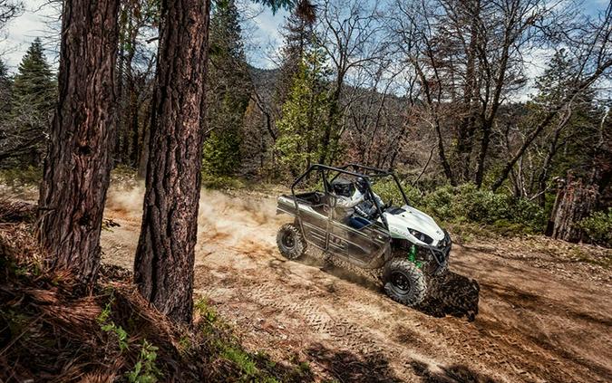 2019 Kawasaki Teryx