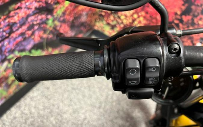 2019 Harley-Davidson Iron 883™