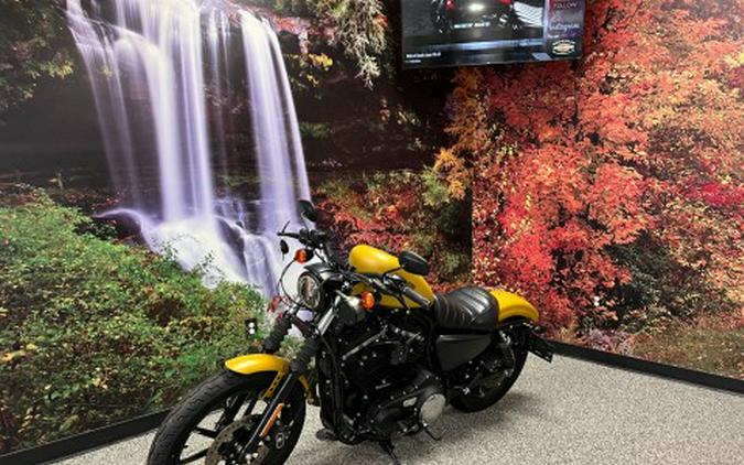 2019 Harley-Davidson Iron 883™