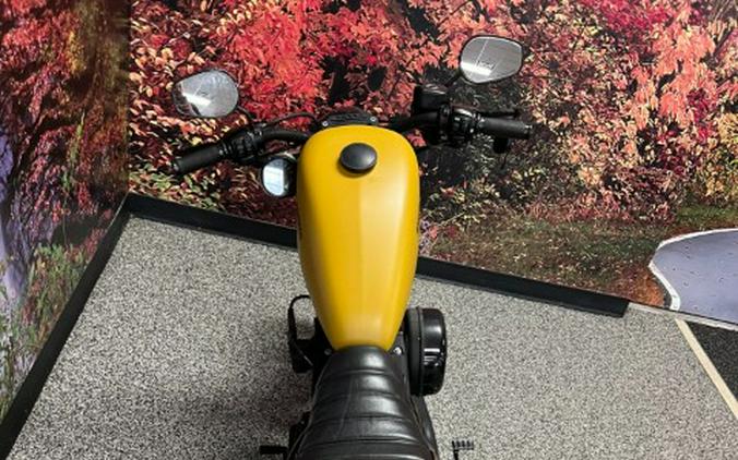 2019 Harley-Davidson Iron 883™