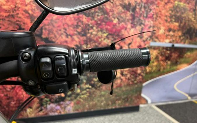 2019 Harley-Davidson Iron 883™