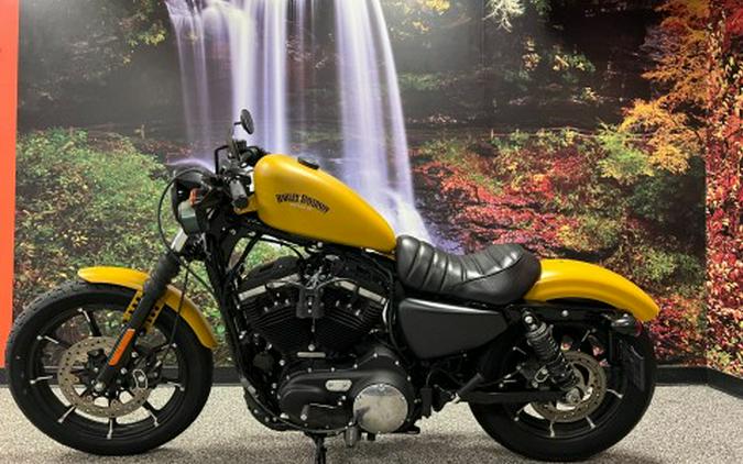 2019 Harley-Davidson Iron 883™