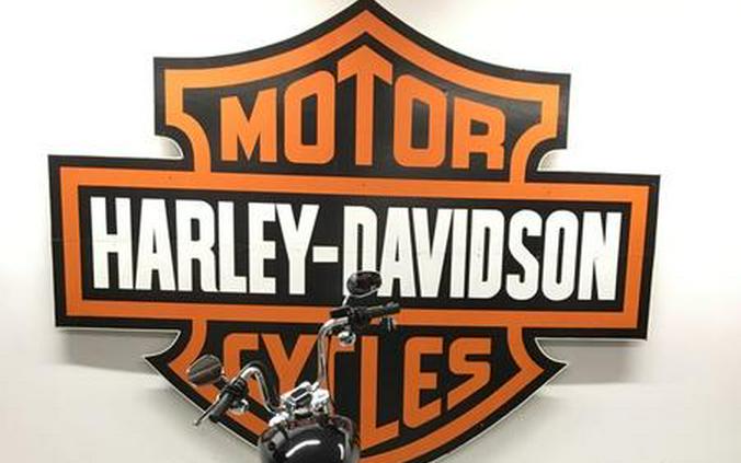 2024 Harley-Davidson® FXST - Softail® Standard