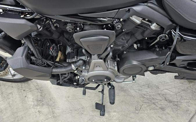 2023 Harley-Davidson Nightster® Special