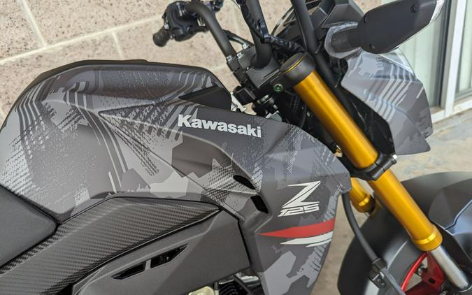 2024 Kawasaki Z125 Pro