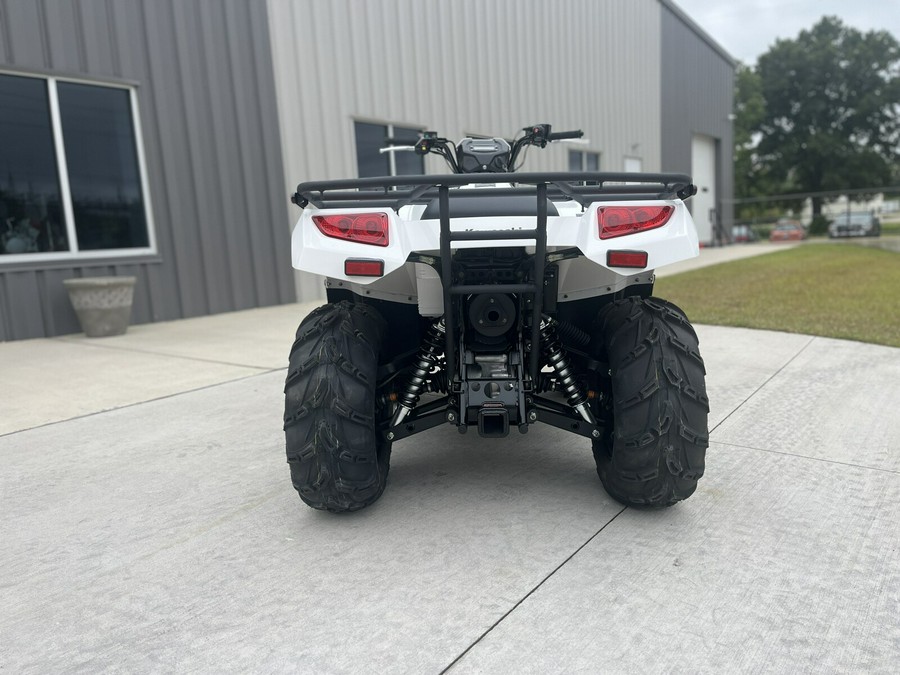2025 KAWASAKI BRUTE FORCE 450 4X4 - B102975