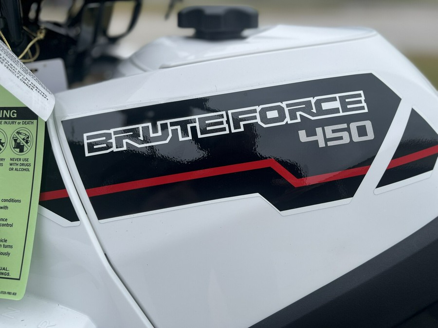 2025 KAWASAKI BRUTE FORCE 450 4X4 - B102975
