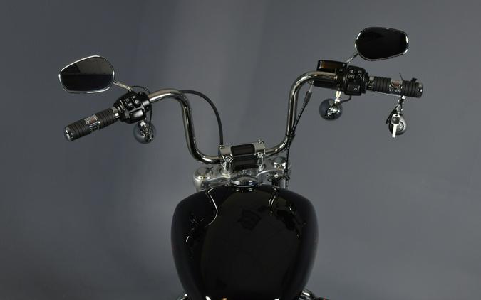 2024 Harley-Davidson Softail Standard