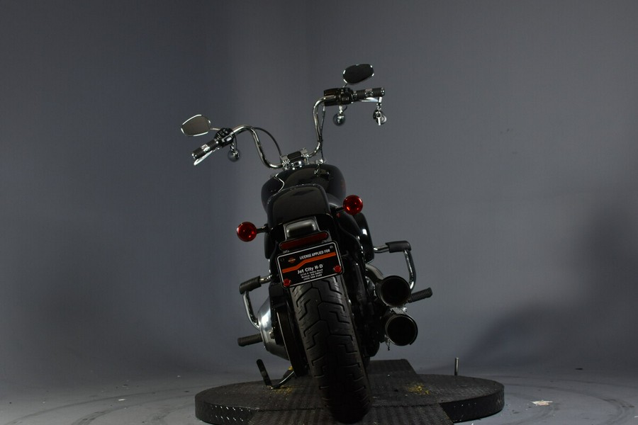 2024 Harley-Davidson Softail Standard