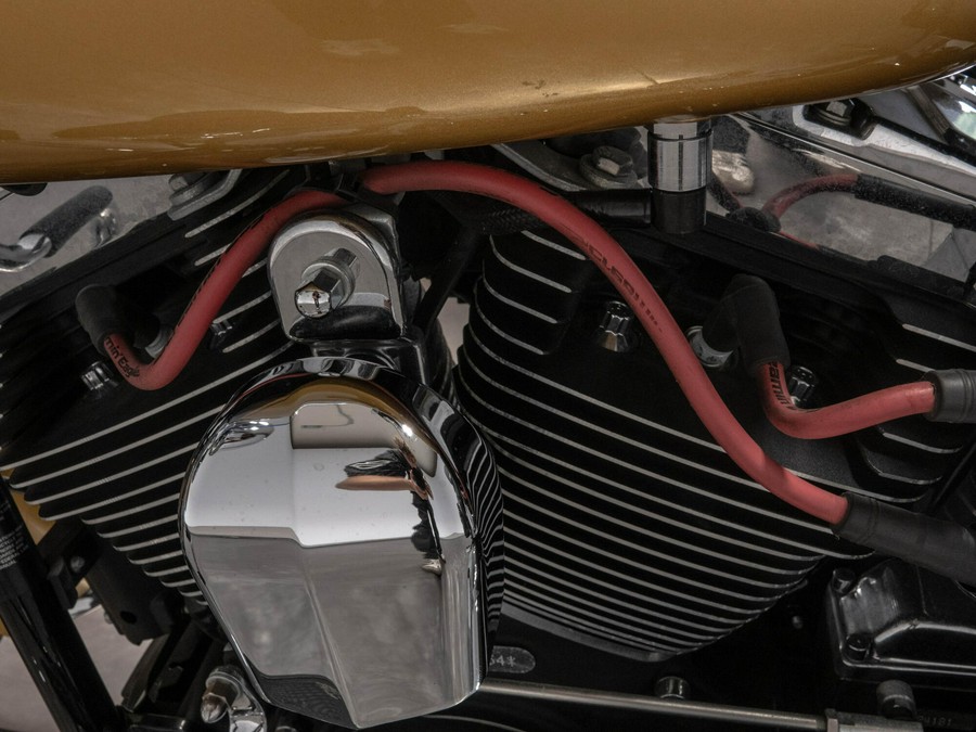2017 HARLEY-DAVIDSON FLSTC HERITAGE CLASSIC in Black Hills Gold/ Black Quartz