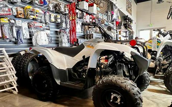 2024 Yamaha Grizzly 90