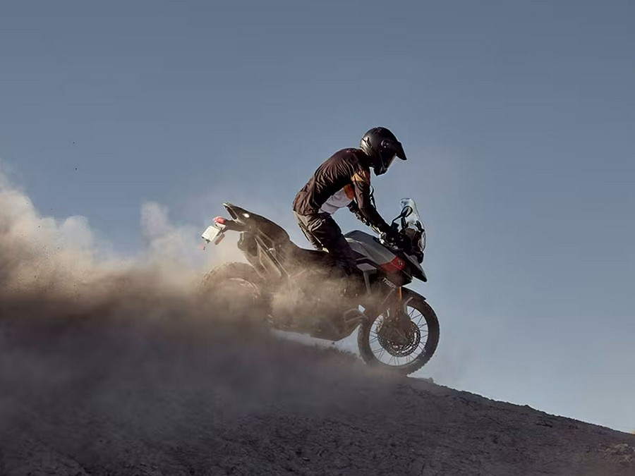 2025 Triumph Tiger 900 Rally Pro