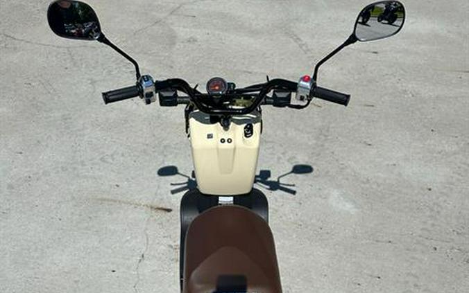 2024 Honda Ruckus