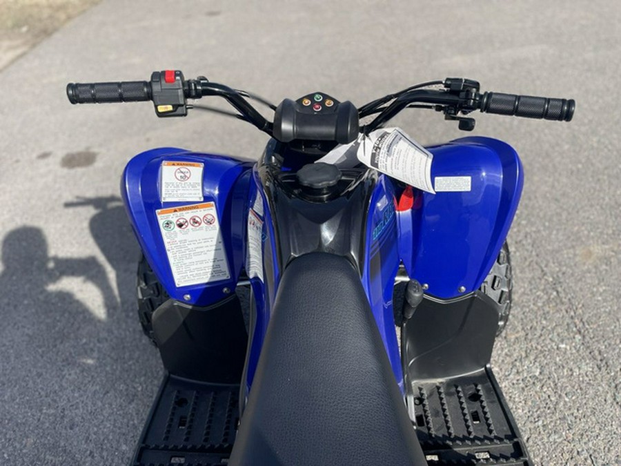 2024 Yamaha Raptor 110