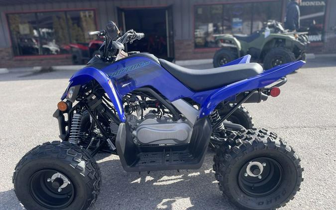 2024 Yamaha Raptor 110
