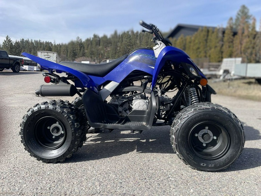 2024 Yamaha Raptor 110