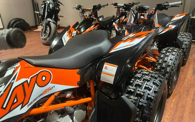 2026 Kayo Predator 125 EFI