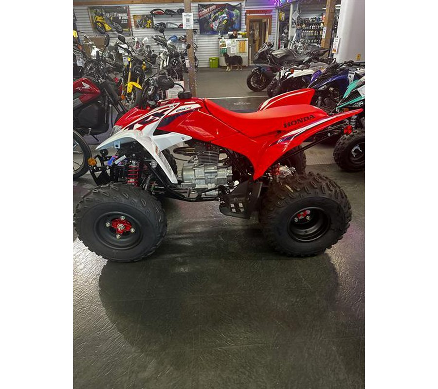 2023 Honda TRX250X