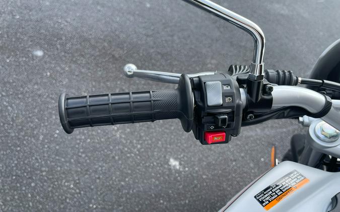 2024 Yamaha TW200