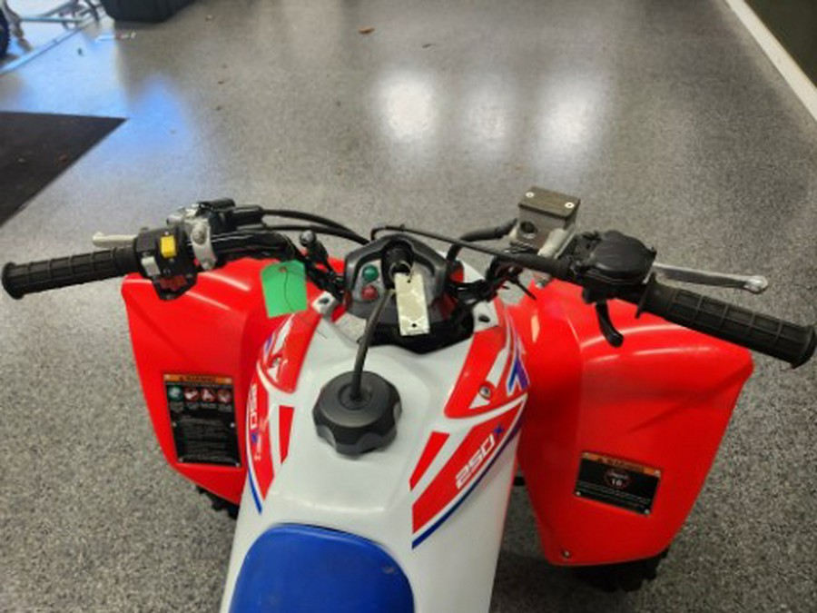 2026 Honda TRX 250