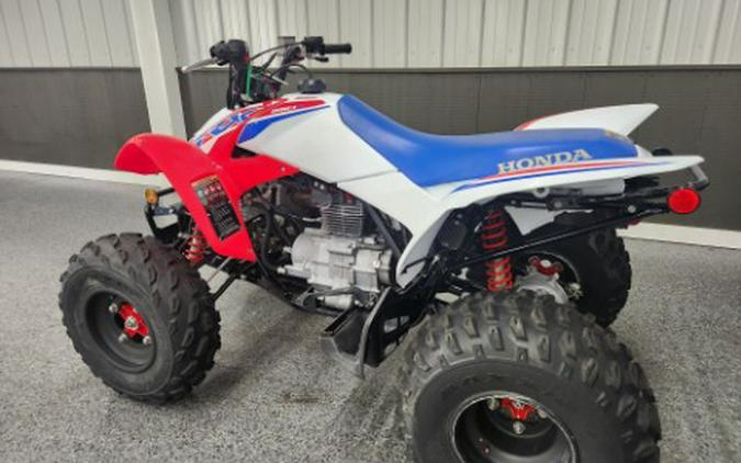 2026 Honda TRX 250