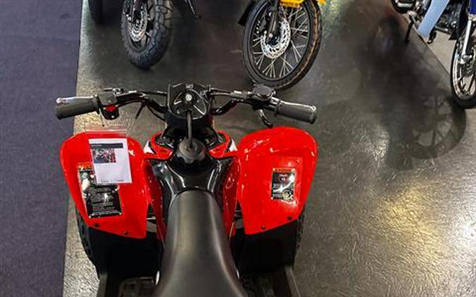 2024 Honda TRX90X