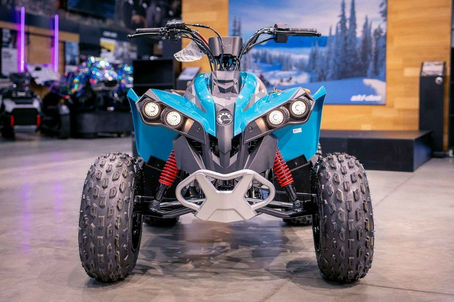 2026 Can-Am® Renegade 70 EFI