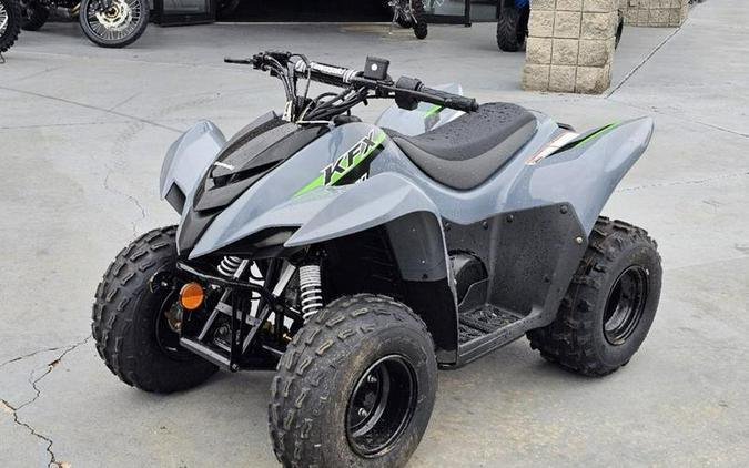 2024 Kawasaki KFX®90